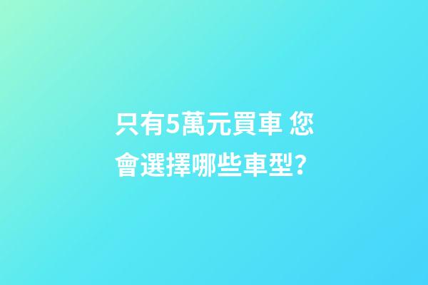 只有5萬元買車 您會選擇哪些車型？